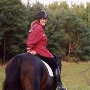 Dansk Varmblod Dixon