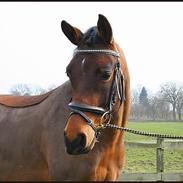 DSP † Mirage <3 †