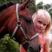 Dartmoor Edermann ronda/mickey