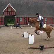 Anden særlig race Jonas R.I.P. :(