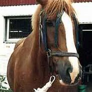 Frederiksborg Nemesis