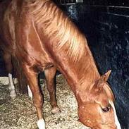 Frederiksborg Nemesis