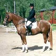 Frederiksborg Nemesis