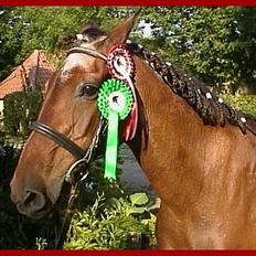 Anden særlig race Rollo † 2004 †