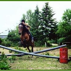 Anden særlig race Rollo † 2004 †