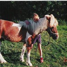 Islænder Skeifa fra Vium