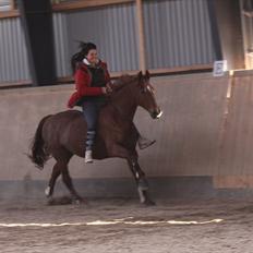 Frederiksborg Linse Aunsbjerg 