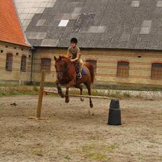 Traver Barske Bangsbo