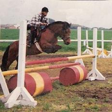 Gotlandsruss Daisy *RIP* :´o(