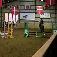 New Forest Simone (solgt)