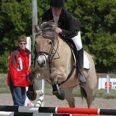 Fjordhest Jenni Mølbak