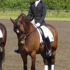 Anden særlig race Tonka