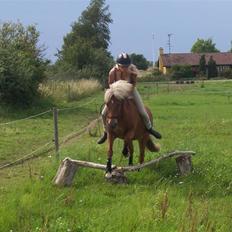 Islænder Tyra Fra Stårup 