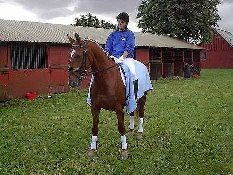Frederiksborg Engkildegårds Purse - Kåring 2003: Vi har lige været inde og ride show, så nu er vi trætte og skal slappe af. billede 6