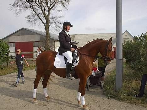 Frederiksborg Engkildegårds Purse - Vores første dressur stævne. Vi fik en 2. Plads, som jeg er utrolig stolt af. billede 7