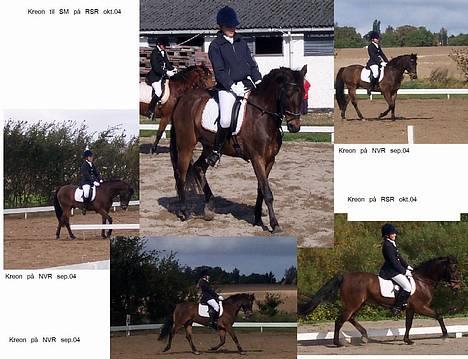 Anden særlig race † Katrinebjergs Kreon <3 - Kreons dressur på RSR og NVR [Efterår 2004] billede 2