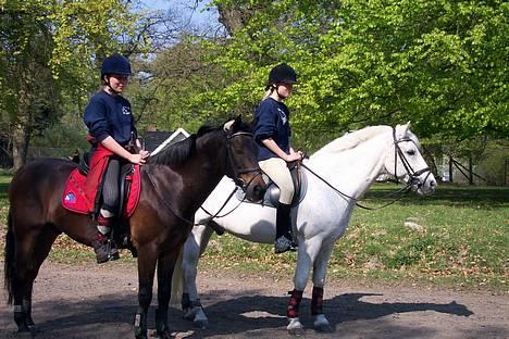 Anden særlig race † Katrinebjergs Kreon <3 - En dejlig solskins dag i dyrehaven i sommers.. Kreon og hans (afdøde) bedsteste ven baskmini (asko) de står afslappede og smiler til min mors kamera.. :) [Sommer-Efterår 2004] billede 3