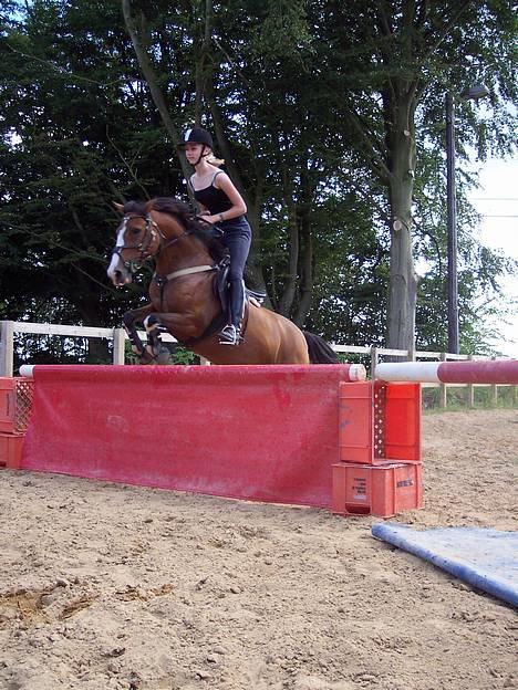 Anden særlig race Diana SOLGT - Her springer vi hjemme hos en af mine veninder :) billede 7