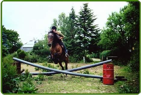 Anden særlig race Rollo † 2004 † - Jeg og Rollo springer lidt derhjemme :) billede 2