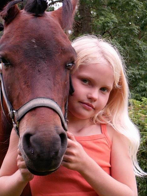 Dartmoor Edermann ronda/mickey - min søde pony og jeg.- mickey er efter prins og siske ingerdal billede 1