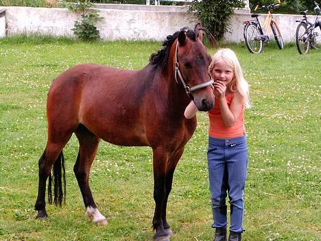 Dartmoor Edermann ronda/mickey billede 5