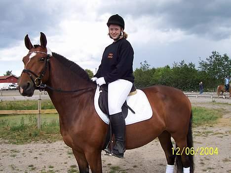 Anden særlig race Luna - Vores første dressur stævne billede 2