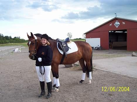 Anden særlig race Luna - Luna er træt billede 6