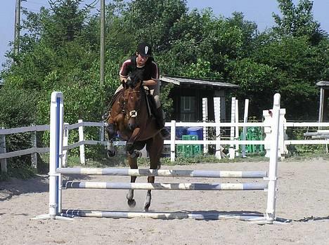 Fuldblod (XX) Another Vale - SOLGT - Her springer vi en oxer på ca 70cm - August 2004 billede 5