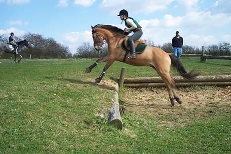 Anden særlig race Robin Hood - Military Kursus i VEJEN billede 5