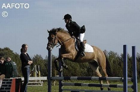 Anden særlig race Robin Hood - Stævne i Tobøl Lc billede 6