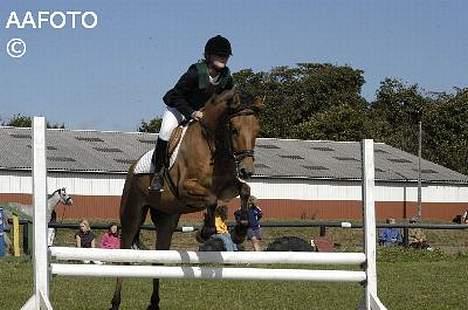 Anden særlig race Robin Hood - Stævne i Tobøl Lc billede 10