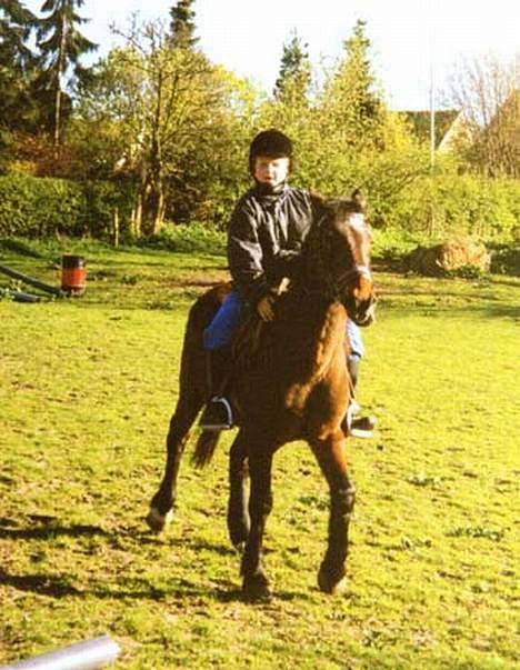 Anden særlig race Rollo † 2004 † - Et gammelt billede af Rollo hvor hun laver surmulere  : P billede 5