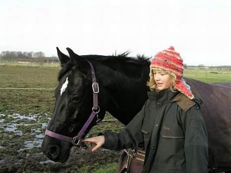 Dansk Varmblod Scarlet - scarlet og josefine billede 2