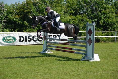 Irsk Sportspony Ardfield  Woodie - solgt  - spring i næstved  billede 7