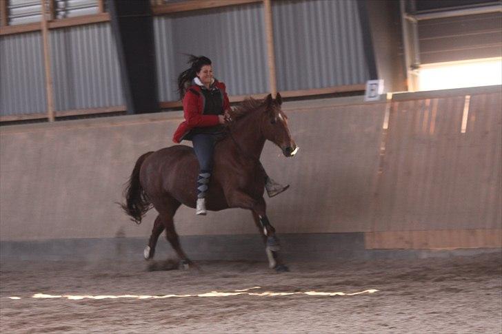 Frederiksborg Linse Aunsbjerg  - Da jeg var på besøg hos den nye ejer d. 21. oktober 2010. Jeg har ikke redet hende i 1,5 år og hun er ikke blevet trænet med cordeo siden. Alligevel red vi bare en tur som om det var ingenting..  billede 3