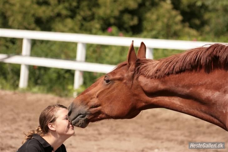 Frederiksborg Linse Aunsbjerg  - Elsker også dig, Linse´baby! billede 9