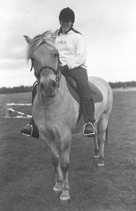 Fjordhest Solvrå - Min første ridetur på tøsen...Foto: Mikkel Jezequel billede 7