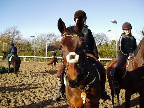 Anden særlig race Dear-lei <3 hvil i fred min engel - Dear-lei og mig til Hurbertusjagt.. d.7-11-04 på Solvang Ridecenter billede 9