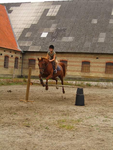 Traver Barske Bangsbo - er han ikke bare supre til at springe springre  billede 2