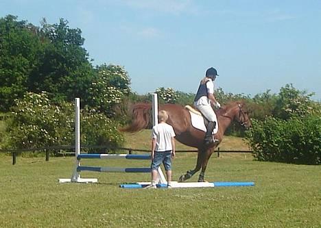 Traver Barske Bangsbo - Karen og Barske til stævne i RIDO billede 3