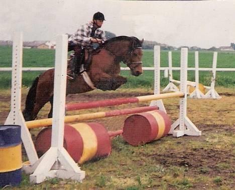 Gotlandsruss Daisy *RIP* :´o( billede 1