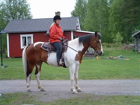 Paint Indiana Jones - Her er min meget usikre veninde Lise, ude og "ride" på Jones  billede 4