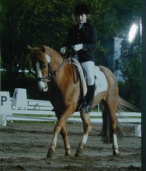 Anden særlig race Jonas R.I.P. :( billede 1