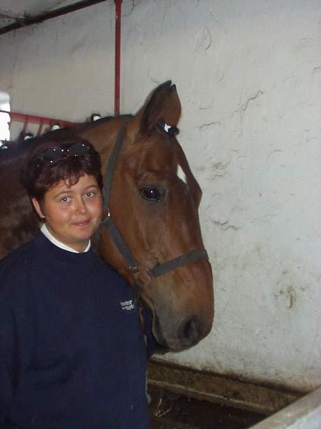 Hannoveraner kilof - til kvadrillekvalifikation i hammelev år 2003. vi vandt billede 5