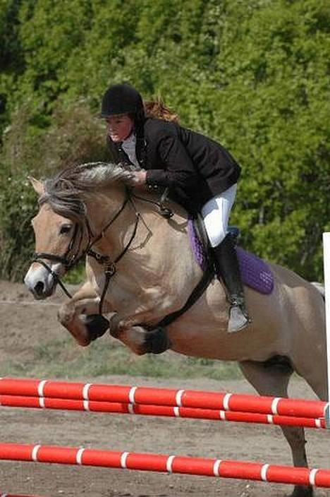 Fjordhest Jenni Mølbak - Her ses vi ved fjordhesteavlens DM billede 1