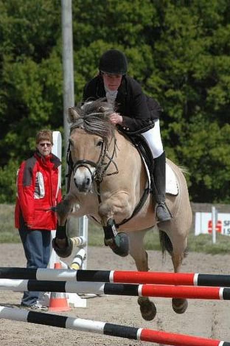 Fjordhest Jenni Mølbak - Også et billed fra DM billede 2