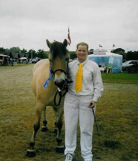 Fjordhest Jenni Mølbak - Her ses vi til Aalborg hesteskue 04 hvor vi fik 22 point og gik 2:2 Det var første gang jeg skulle mønstre så det var fint nok billede 4