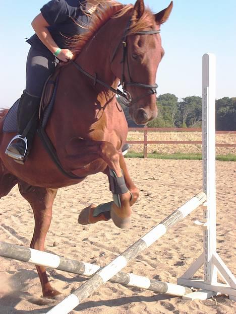 Traver Barske Bangsbo - Barske og Karen sommer 2005 billede 6