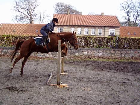 Traver Barske Bangsbo - Så springer vi!!! billede 8