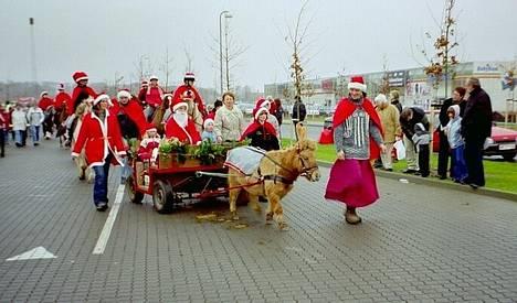 Shetlænder Refstrup's Bell - Bell til juleoptog i Ribe den 12. december 2004 billede 2